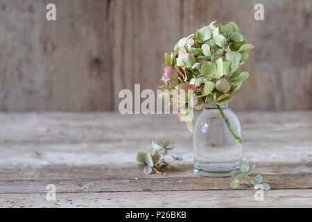 La fin de l'été à la vie encore d'automne avec l'hydrangea dans petit vase en verre sur bois Banque D'Images