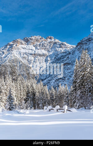 Carbonin / Schluderbach / Dobbiaco, Toblach, Dolomites, province de Bolzano, le Tyrol du Sud, Italie, Europe. Les sommets du Mont Rudo Banque D'Images