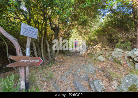 Randonneur sur chemin vers Monte Capanne, Ile d'Elbe, province de Livourne, Toscane, Italie Banque D'Images