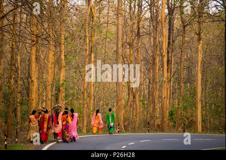 Womans indien traditionnel en passant saris Corbett Jungle sur la route Kaladhungi-Naini Kaladhungi près de Tal, Uttarakhand, Inde Banque D'Images