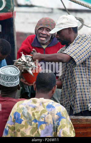 Les poissons qui arrivent au marché Stowntown à Zanzibar, Tanzania, Africa Banque D'Images