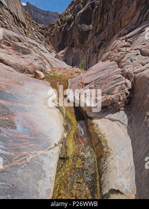 Monument Creek dans le Parc National du Grand Canyon, Arizona. Banque D'Images