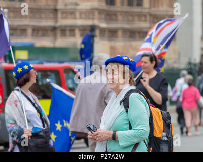 Westminster, Londres, Royaume-Uni ; 13 juin 2018 ; femme Anti-Brexit manifestant à l'extérieur du Parlement portant béret de conception de l'Europe.. D'autres manifestants avec des drapeaux Banque D'Images