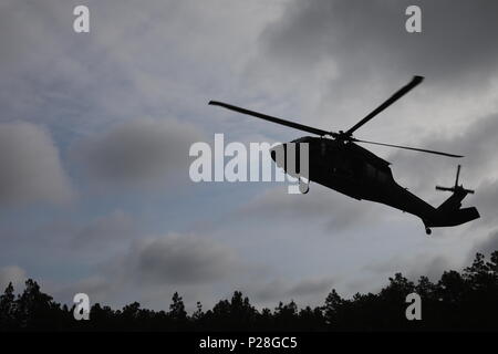 Un UH-60 Black Hawk hélicoptère descend au cours de l'opération commande à l'Armée 2018 Concours meilleur guerrier à Fort Bragg, Caroline du Nord, le 13 juin 2018. Des soldats de la réserve de l'armée américaine en compétition toute la journée et dans la nuit, le meilleur d'eux-mêmes à chaque événement pendant les six jours de l'armée américaine 2018 Réserver meilleur guerrier de la concurrence. (U.S. Photo de la réserve de l'armée par la CPS. Devin A. Patterson) (publié) Banque D'Images