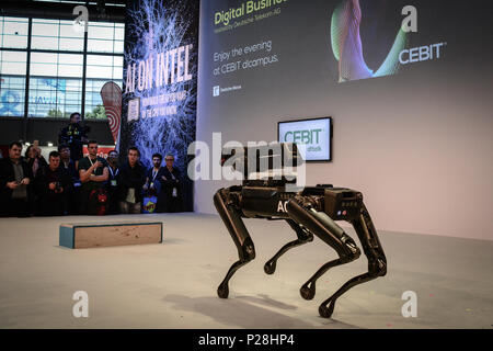 Hanovre, Allemagne. 13 Juin, 2018. Marc Reibert, fondateur de Boston Dynamics, présente le robot SpotMini au CeBIT 2018 à Hanovre. SpotMini est un petit robot à quatre pattes avec la capacité de prendre et manipuler des objets à l'aide de ses 5 degrés de liberté et la perception du bras de capteurs. Crédit : Laura Chiesa/Pacific Press/Alamy Live News Banque D'Images