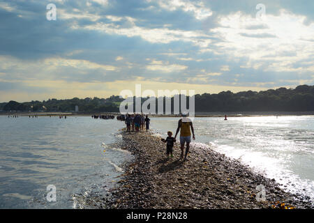 La marche à suivre en bardeaux causeway le fort à l'Bembridge et St Helens Fort à pied, 2017, démarrage fromm St Helens sur l'île de Wight. Banque D'Images