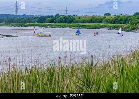 Dériveurs sur la Mersey à Fiddlers Ferry, Penketh. Banque D'Images