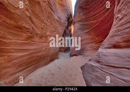 Smyky Gulch, un canyon de fente, la zone du banc de Weed tôt, BLM Land, anciennement partie du monument national de Grand Staircase Escalante, Utah, États-Unis Banque D'Images