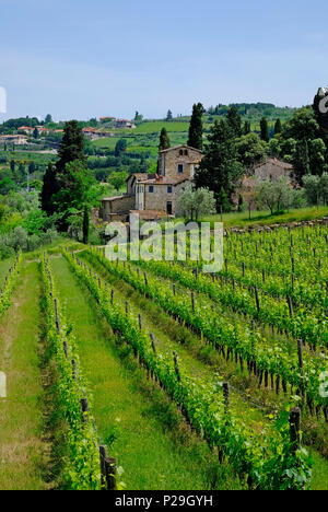 Panzano in Chianti, Toscane, Italie Banque D'Images