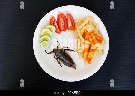 Offre d'insectes comestibles sur une assiette. Insecte d'eau géant frit - Lethocerus indicus avec frites et légumes sur une assiette. Banque D'Images