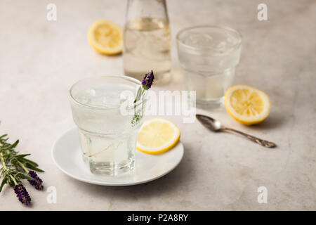 Limonade d'agrumes avec les tranches de citron et lavande Banque D'Images