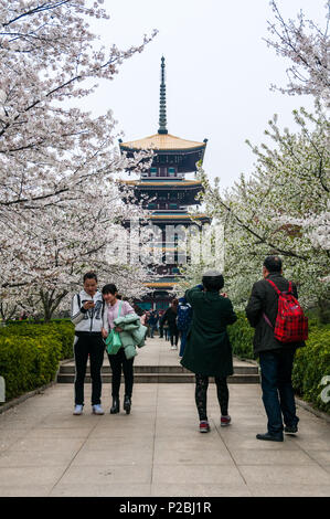 Les personnes bénéficiant de la saison des cerisiers en fleur en face d'une pagode à Moshan dans l'Est Lake Scenic Area, Wuhan, Hubei Province, China Banque D'Images