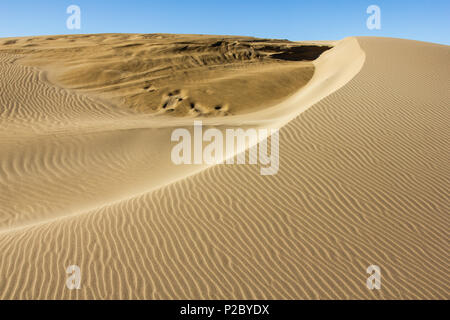 Désert de sable dans le Delta de l'Ebre, Parc naturel des terres de l'Èbre, Catalogne, Espagne Banque D'Images