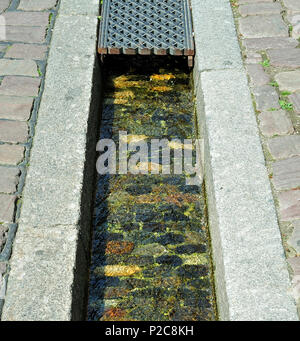 Bächle, rempli d'eau runnel dans la vieille ville de Freiburg, forêt noire, Allemagne, en partie couverte par une plaque de fer Banque D'Images