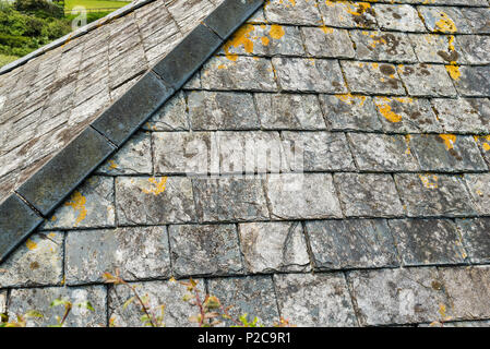 Close up section d'un toit en croupe en ardoise. Ancien pavillon à Cornwall en croissance de lichen et de mousse. Banque D'Images