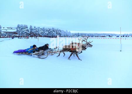 La Suède, la Laponie, région classée au Patrimoine Mondial de l'UNESCO, comté de Norrbotten, deux atelages participant à la course des rennes au marché Sami Jokkmokk Banque D'Images