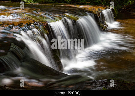 L'une des nombreuses cascades et chutes le long Sweet Creek dans l'Oregon est Suislaw National Forest. Les randonneurs le long du sentier du ruisseau doux va rencontrer 11 wa Banque D'Images