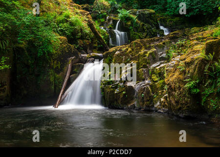 Beaver Falls à la fin de la douce Creek dans l'Oregon est Suislaw National Forest. Les randonneurs le long du sentier du ruisseau doux va rencontrer 11 cascades Banque D'Images