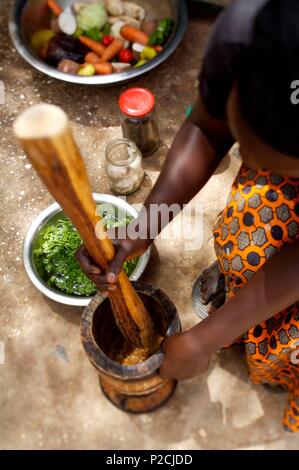 Au Sénégal, la préparation de thiep bou dien (riz au poisson) dans un village Peuhl Banque D'Images