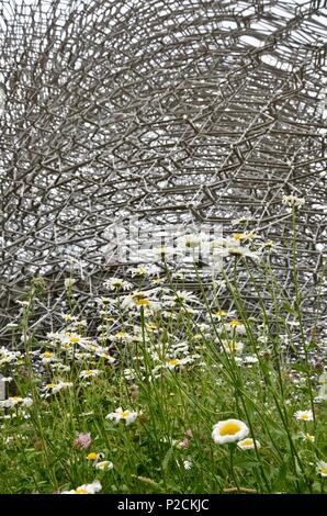 Pré de fleurs sauvages entourant 'La Ruche' à Kew Gardens, en Angleterre. Banque D'Images