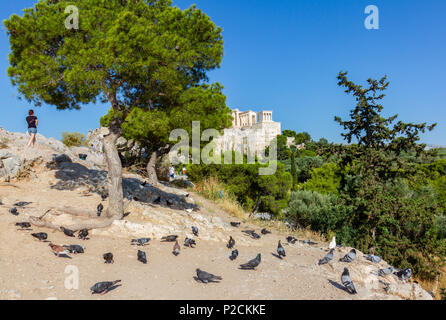 Vue panoramique de l'regardant vers le le rocher de l'acropole d'Athènes en Grèce avec les pigeons dans l'avant-plan Banque D'Images