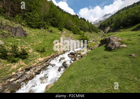France, Pyrénées Atlantiques, vallée d'Ossau, montagne stram Banque D'Images