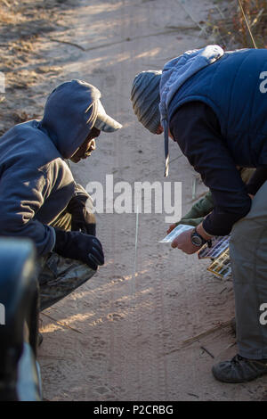 Deux hommes d'examiner des pistes d'animaux dans le chemin de terre à un safari dans le parc national de Kafue en Zambie. Banque D'Images