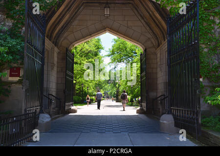 Regardant à travers l'emblématique Porte de Cobb dans l'Archway Quad à l'Université de Chicago. Banque D'Images