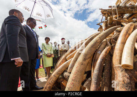 Le président Peter Mutharika supervise l'ivoire cérémonie programmée à Lilongwe au Malawi du terrain du Parlement à laquelle aucun l'ivoire a été brûlé. Banque D'Images