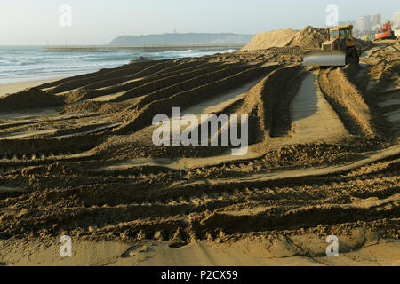 Durban, le KwaZulu-Natal, Afrique du Sud, heavy duty jaune sable plage propagation bulldozer Projet de remise en état, sur le Golden Mile, promenade, paysage, ville Banque D'Images