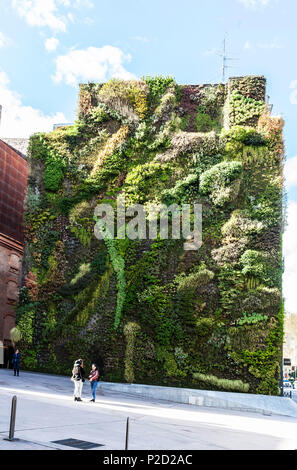 Jardin vertical sur le côté latéral d'un bâtiment, Madrid, Espagne. Banque D'Images