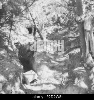 . Anglais : positions chinoises abandonnées en Corée AWM Légende : Une patrouille du 3e Bataillon du Royal Australian Regiment (3 RAR), est venu à travers la Corée du Nord ou chinois abandonnés bunkers, coupé en un coteau. Ils sont bien camouflés par les pins poussant dans les terrains vallonnés. Remarque La boîte de carton vide et d'autres débris à l'entrée pour les bunkers. c. Octobre 1951. Hobson, Phillip Oliver Hobson 2 positions chinoises abandonnées Corée Octobre 1951 HOBJ (MN2502) Banque D'Images