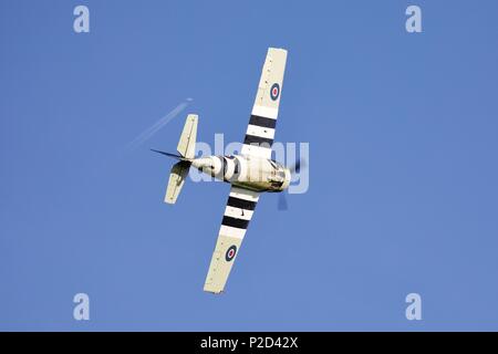 Grumman Wildcat FM2 - porte-avions utilisés par United States Navy et de la Royal Navy durant la Seconde Guerre mondiale. Banque D'Images