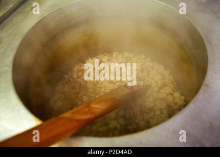 France, Sarthe, Connerre, Claude Segouin, boucherie, préparation des rillettes, de la fonte des graisses Banque D'Images