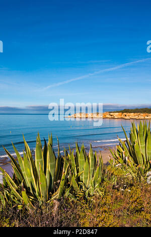 Vue vers la plage de Praia do Vau, Praia da Rocha, Algarve, Portugal Banque D'Images