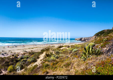 Plage, Praia de Monte Clerigo, Aljezur, Costa Vicentina, Algarve, Portugal Banque D'Images