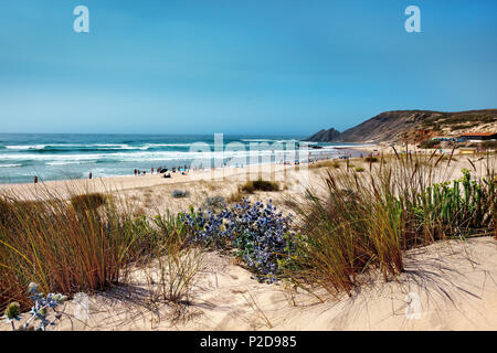 Dunes et la plage Praia da Amoreira, Aljezur, Costa Vicentina, Algarve, Portugal Banque D'Images