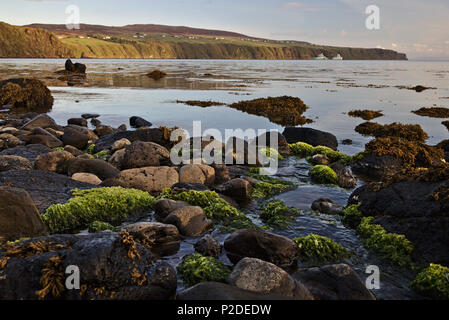 Plage de galets avec des rochers couverts d'algues dans l'avant-plan et de falaises escarpées dans la distance Banque D'Images