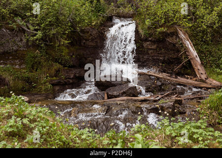 Belle cascade en forêt Banque D'Images