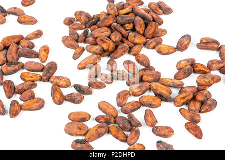 Close up of fresh sur fond blanc. Banque D'Images