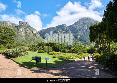 Jardins botaniques de Kirstenbosch, Cape Town. Banque D'Images