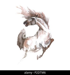 Peinture de cheval, conception de tatouage Banque D'Images