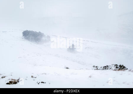 Un blizzard dans le Peak District campagne. Neige de l'hiver sur les collines autour de Grindsbrook Clough, Kinder Scout, Derbyshire Peak District, England, UK Banque D'Images