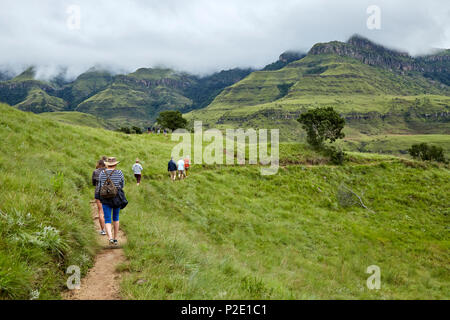 Trekking dans les montagnes du Drakensberg, Afrique du Sud Banque D'Images