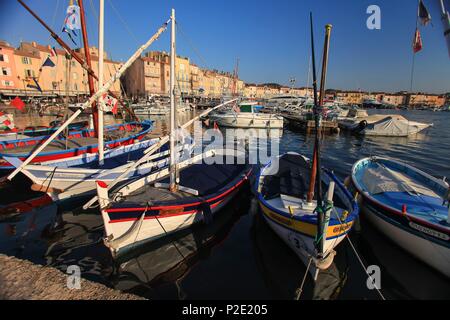 La France, Var, Saint Tropez, l'alignement de pointus dans le vieux port Banque D'Images