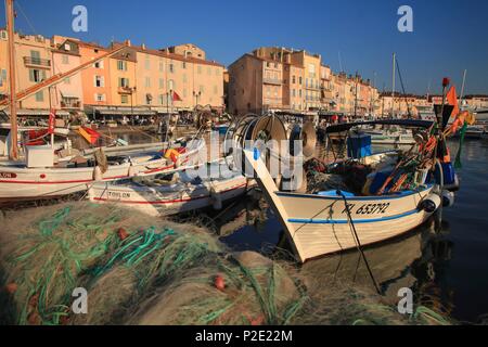 La France, Var, Saint Tropez, l'alignement de pointus dans le vieux port Banque D'Images