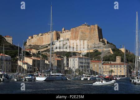 France, Corse du Sud, Bonifacio, les Bouches de Bonifacio, le port de Bonifacio et la citadelle en arrière-plan Banque D'Images