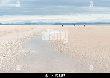 Plage écossais - personnes jouant avec chien sur grande plage - Plage du Nord, Burghead Bay près de Findhorn, dans les Highlands écossais Moray Banque D'Images