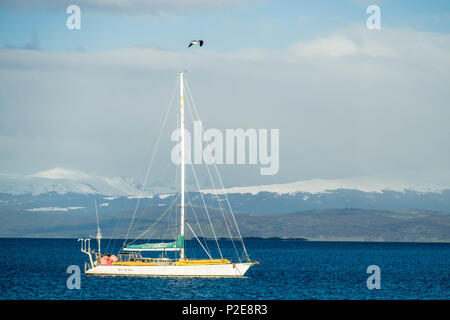 Un voile voile traverse le canal Beagle près d'Ushuaia. La voile est populaire dans cette partie du monde où les îles offrent de superbes paysages. Banque D'Images