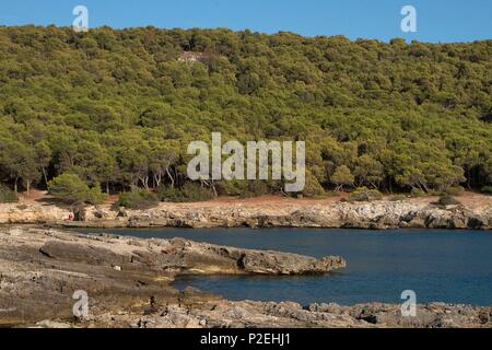 Italie, Pouilles, Nardo, parc naturel de Porto selvaggio, Creek entouré par une forêt de pins Banque D'Images